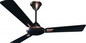 Ceiling Fans