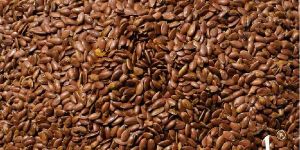 Roasted Flax Seed