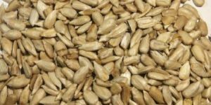 Roasted Sunflower Seed