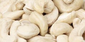 Cashew Nuts