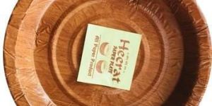 Biodegradable Paper Plate
