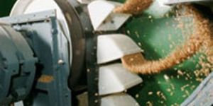 Discharging Grain Elevator