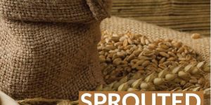 Organic Sprouted Wheat Flour