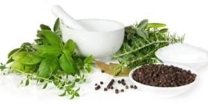 Ayurvedic Tulsi