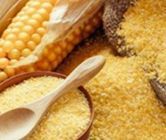 Maize Flour