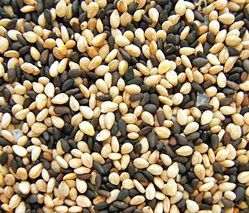 Sesame Seed