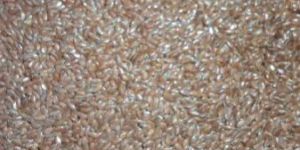 Flax Seeds