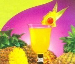 Fruit Squashes
