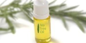 Tea Tree Oil