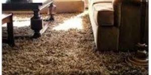 Carpet Area Rugs