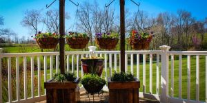 Hanging Basket