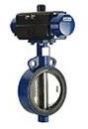 Knife Gate Valves