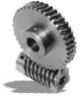 Worm Wheel