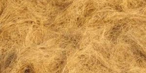 Coir Fiber