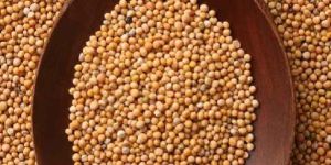 Mustard Seeds