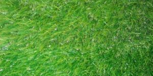 Artificial Grass