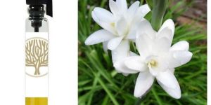 Tuberose Absolute