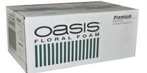 Oasis Premium Floral Foam