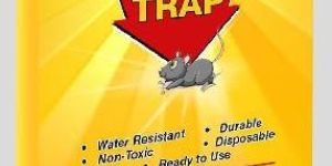 Rat Trap Plastic