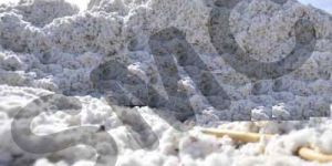 Cotton Waste for Bedding