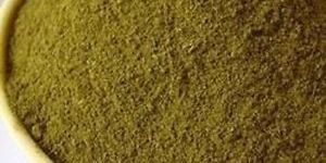 Basil Powder