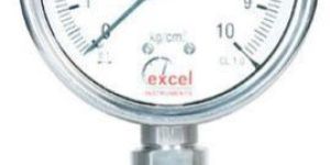 DS1 Diaphragm Sealed Type Pressure Gauges