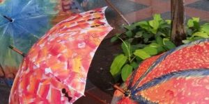 Hand Painted Umbrella