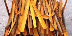Split Cassia
