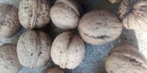 Walnuts