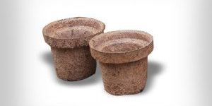 Coir Seed Germination Cups