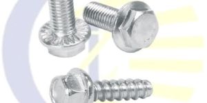 Stainless Steel Flange Bolt, SS Flange Nut