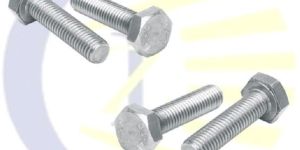 Stainless Steel Hex Bolt