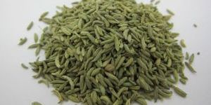 Fennel Seeds