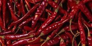 Red Chilli Sauce