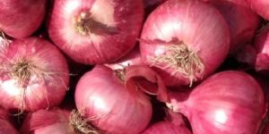 Fresh Red Onion