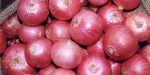 Red Onion