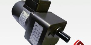 Induction Gear Motor