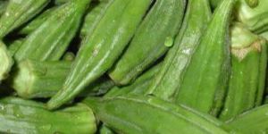 Frozen Okra