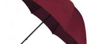 Umbrella