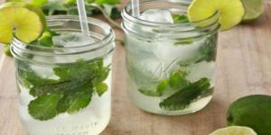 Mojito Drink
