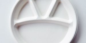 Compartment Round Plate