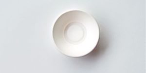 Round Disposable Bowl