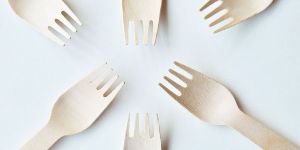 Wooden Fork