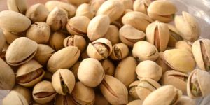 Pistachio