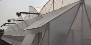 Natural Ventilated Polyhouse