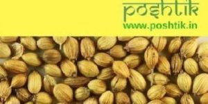 Dhania Powder