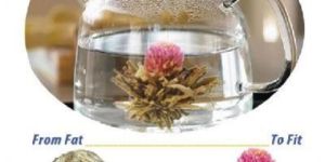 Chang Moon Flower Tea