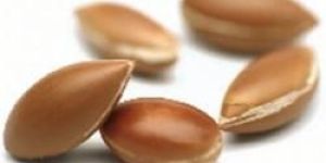 Argan Oil