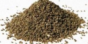 Celery Seed Oil