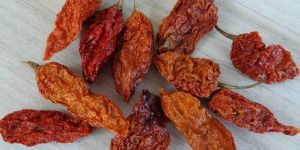 Bhut Jolokia